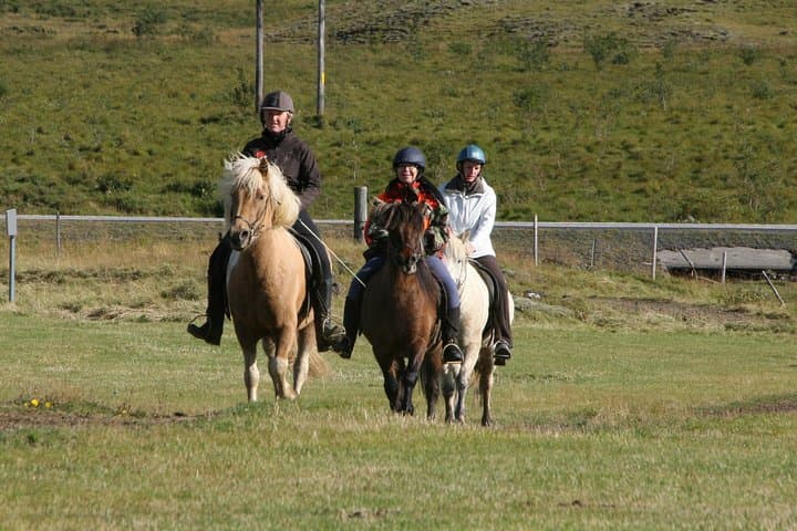 The Siggi Tour from Reykjavík: 1.5 to 2-Hour Ride
