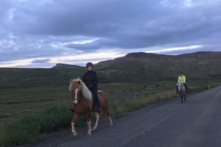 2 hours Private Horse Riding to Lake Hafravatn, Reykjavík - Mos