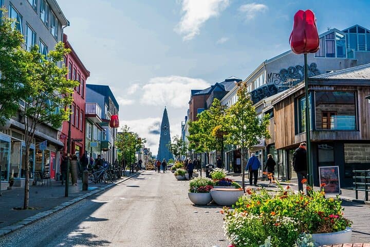 Reykjavik Private Walking Tour With A Professional Guide