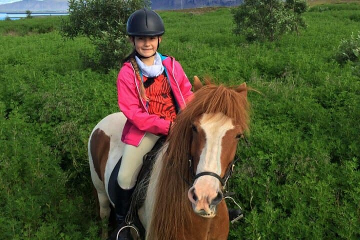 1+ hour Private Horse riding tour from Reykjavík/Mosfellsbær