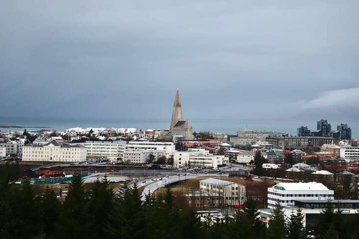 Reykjavik City Private Tour