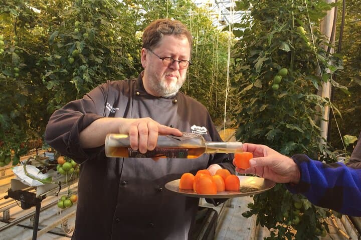 Friðheimar Tomato greenhouse