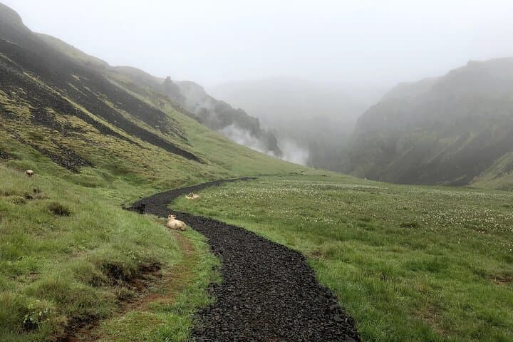 Private Hiking up the Mystical Reykjadalur - Hot River Bathing