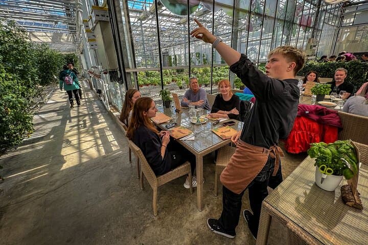 Golden Circle, Tomato Farm Lunch & Sky Lagoon Small-Group Tour