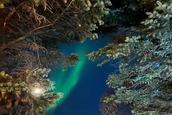 Northern Lights - Private