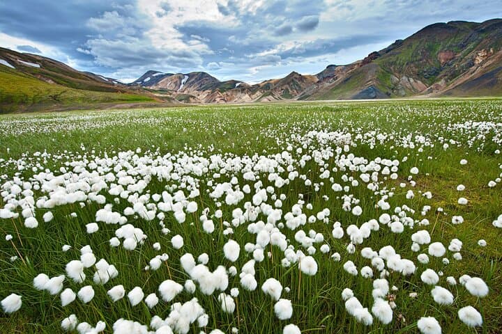 2 Days Private Super Jeep Tour to Landmannalaugar and Thorsmork