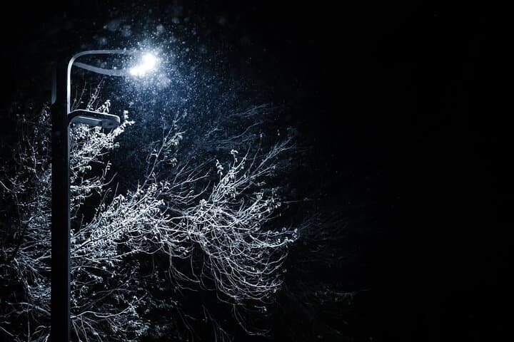 Private Christmas Walking Tour in Reykjavik Festive Heritage