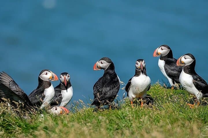 3 Days Iceland Private Super Jeep Tour Highlands and South Coast