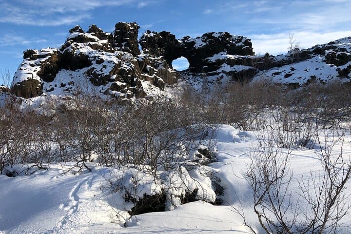 Premium Full Day Tour Lake Myvatn and Godafoss