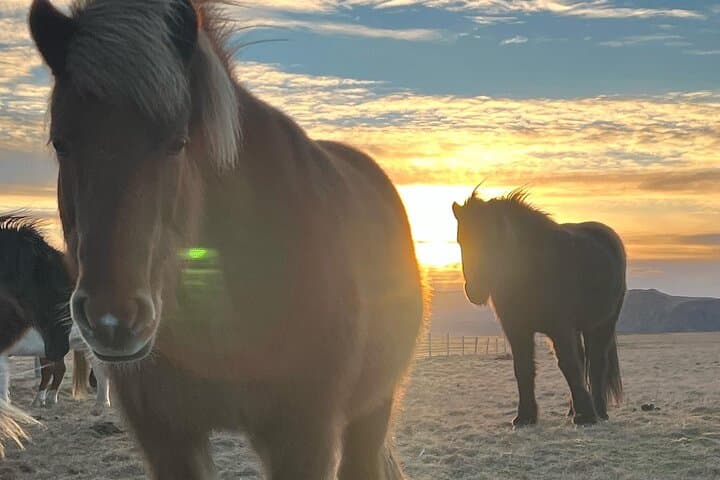 Private Reykjanes Peninsula Guided Tour