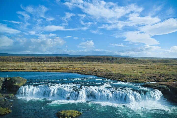 Golden Circle & Friðheimar Experience: Private Farm & Wonder Tour