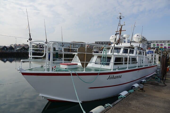 Reykjavik's Finest Catch: Guided Sea Angling Tour for All Levels