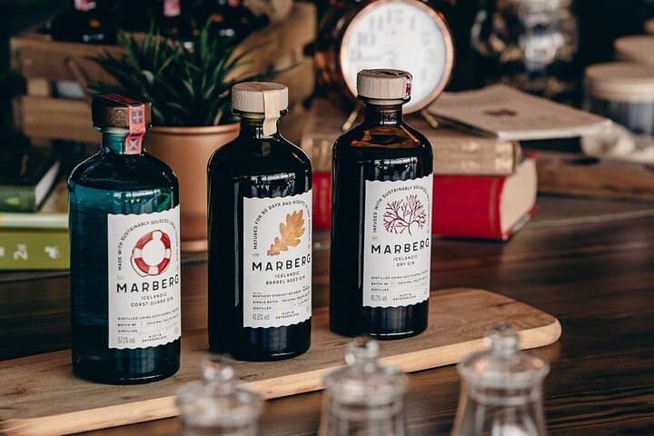 Craft Gin Tasting in Reykjavik’s Old Harbor: Meet the Maker