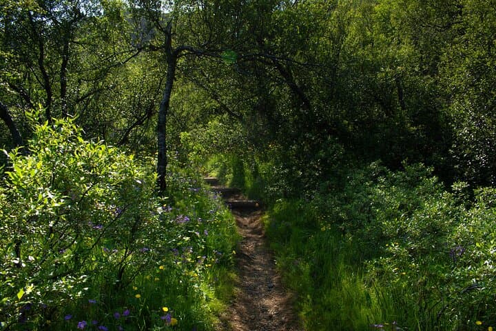 Hiking path in Thórsmörk