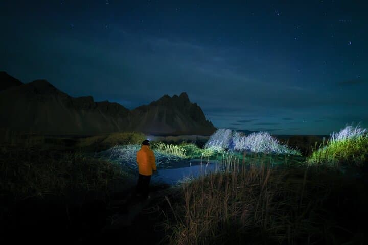 The Northern Lights Hunt