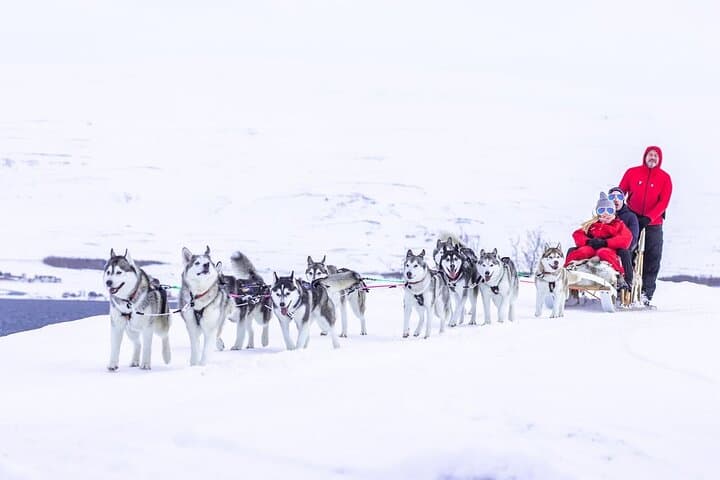 Private Dog Sledding in Akureyri