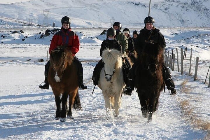 One-Hour Horseback Riding Tour in the Icelandic Countryside