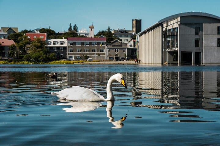 Reykjavik Food Tour and City Walk - PRIVATE TOUR