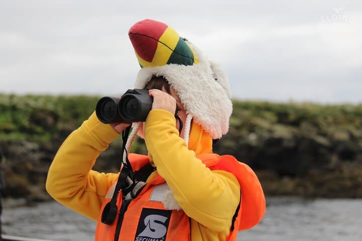 Classic Puffin Watching Cruise from Downtown Reykjavík