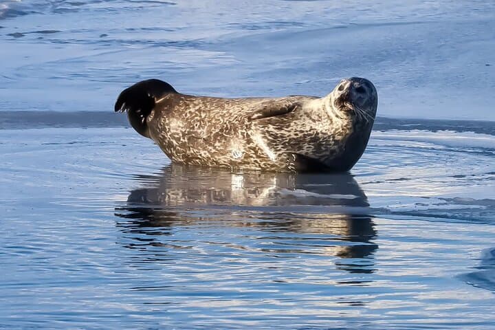 2 Days Iceland South Coast Private Tour