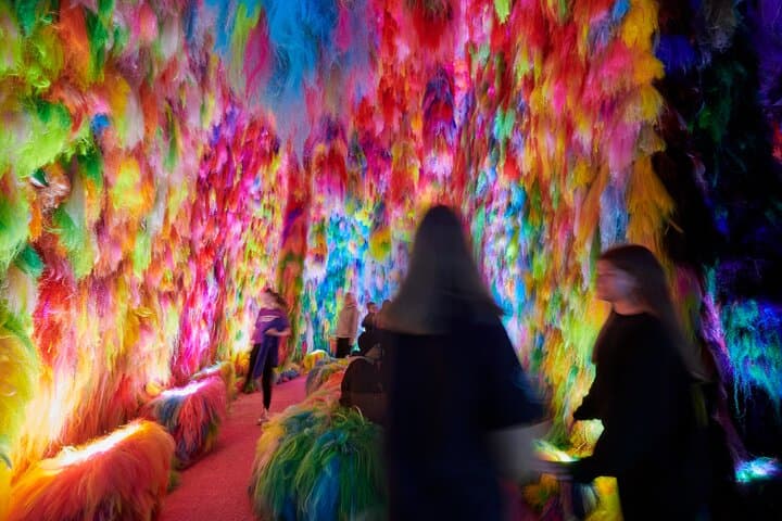 Chromo Sapiens Immerse Yourself in Color Texture and Sound