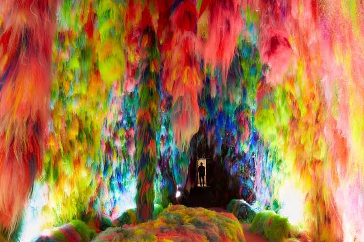Chromo Sapiens Immerse Yourself in Color Texture and Sound