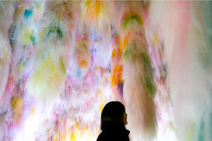 Chromo Sapiens Immerse Yourself in Color Texture and Sound