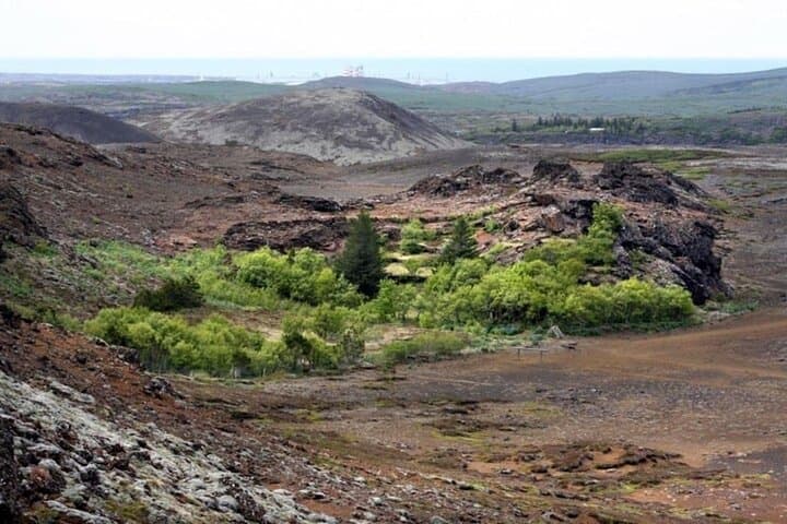 Small forest in Helgafell