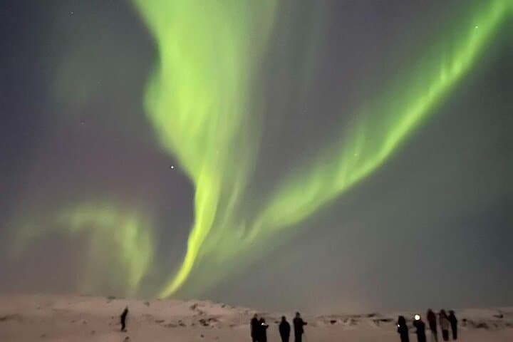 Reykjavik Aurora Borealis Northern Lights Tour