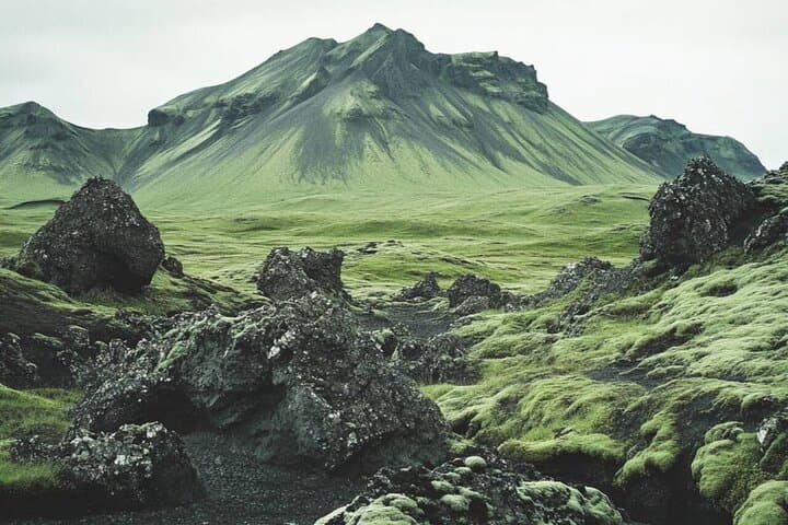 Moss and lava rocks