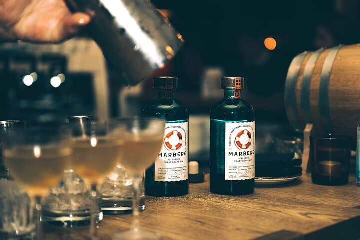 Craft Gin Tasting in Reykjavik’s Old Harbor: Meet the Maker