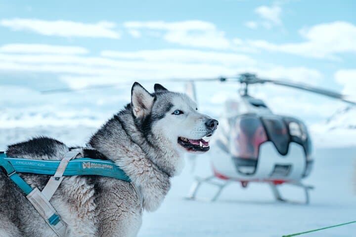 Fire and Ice Helicopter Tour: Glacier and Hengill Geothermal Area