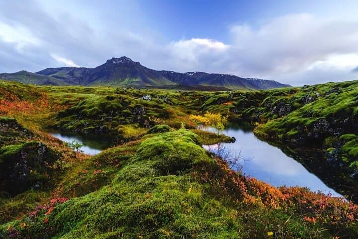 beautiful green