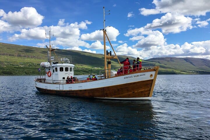 Whale Watching from Akureyri Port