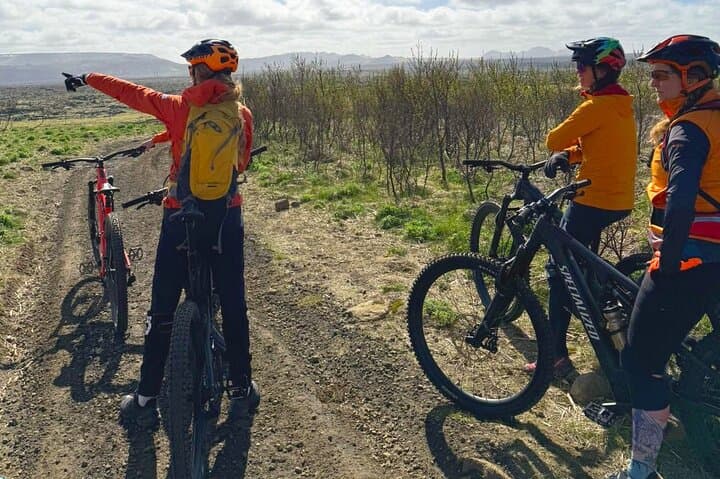 Reykjavik E bike Tour