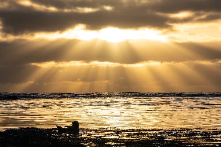 Private Snaefellsnes Tour from Reykjavik by Jeep or VClass