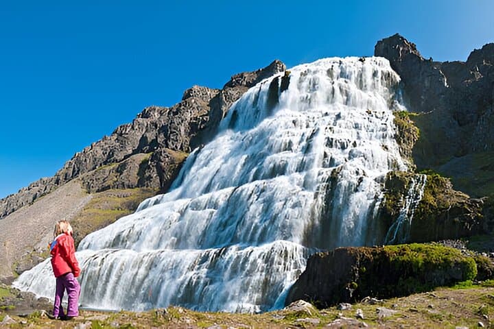 Private Dynjandi Waterfall and Farm Tour: Pickup from Isafjordur
