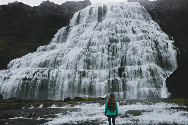 Private Dynjandi Waterfall and Farm Tour: Pickup from Isafjordur