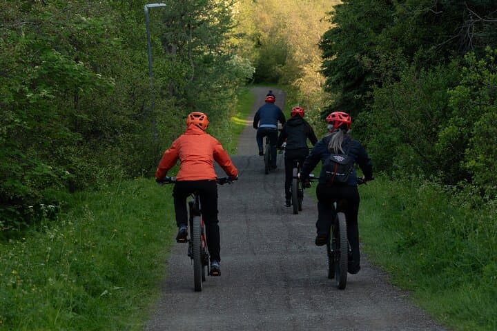 Akureyri Guided E-Bike Tour