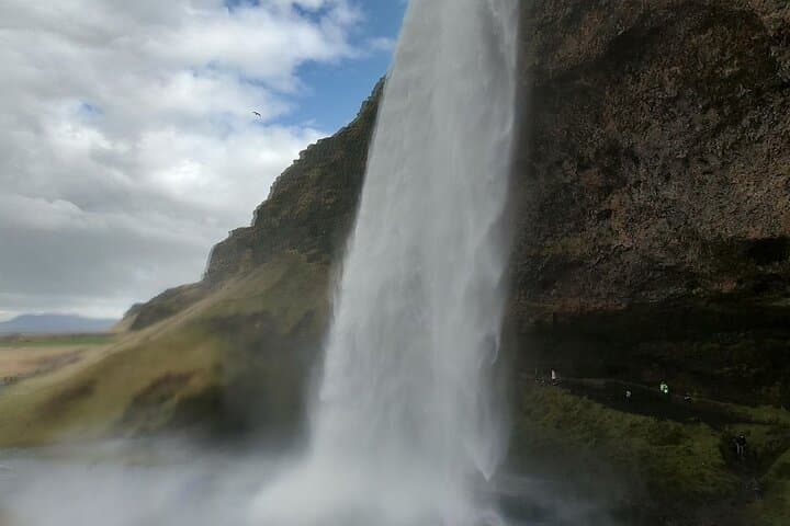 Golden Circle and South Coast Highlights Private Tour