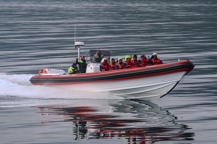 Express Whale Watching in Dalvik close to Akureyri north Iceland
