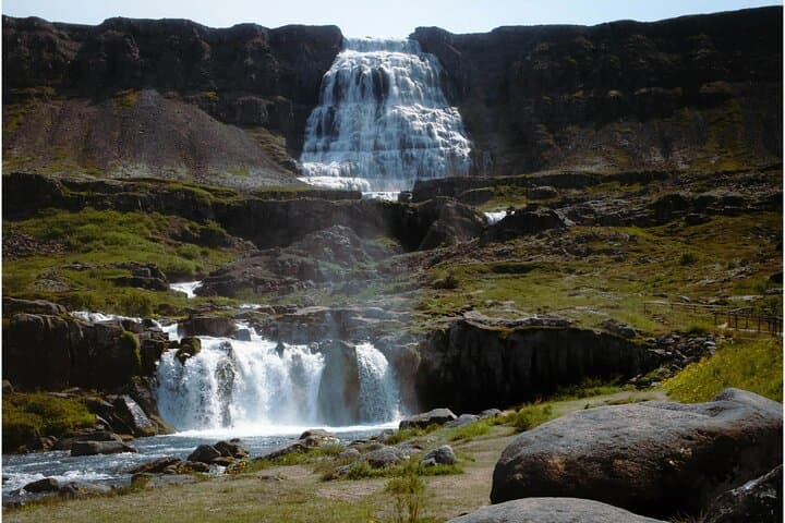 Isafjordur and Westfjords Private Day Tour