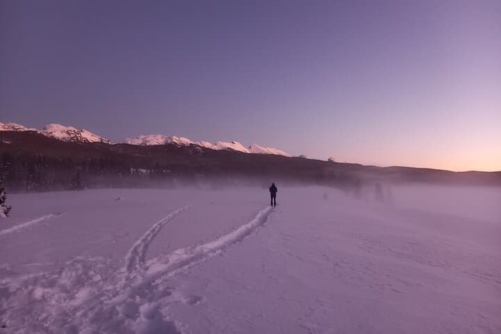 Into the wild
