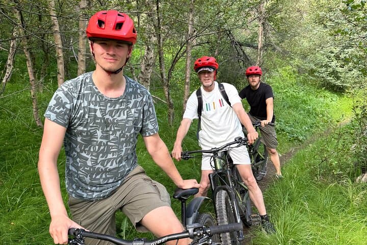 Forest Lagoon Ebike Tour Akureyri