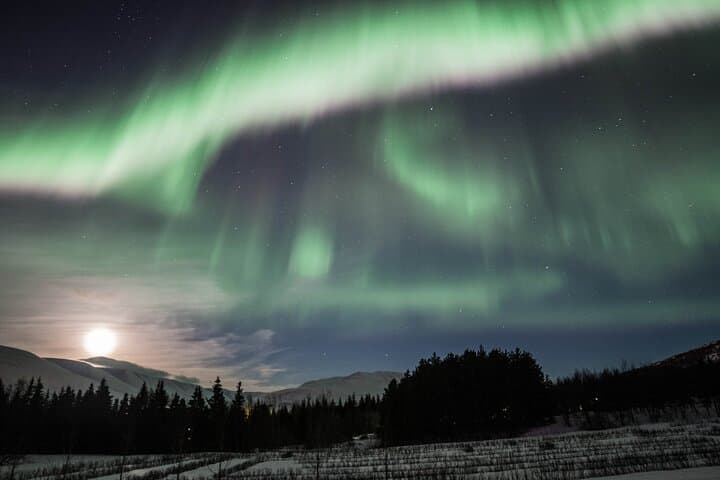 Northern Lights Group Tour from Akureyri