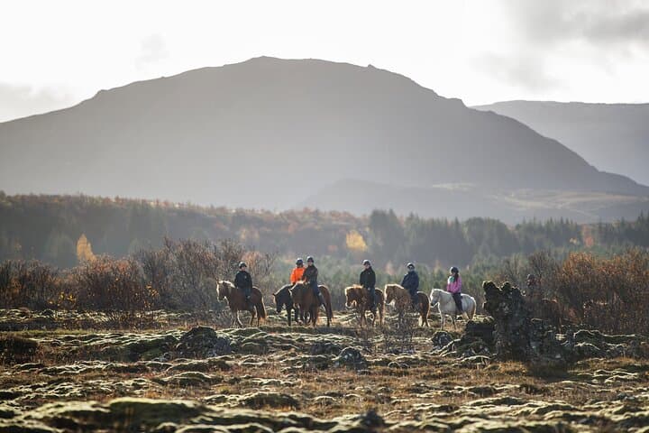 Private Icelandic Horseback Ride: Matched to Skill Level