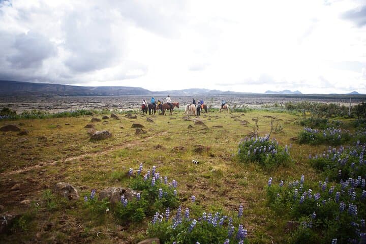 Private Icelandic Horseback Ride: Matched to Skill Level