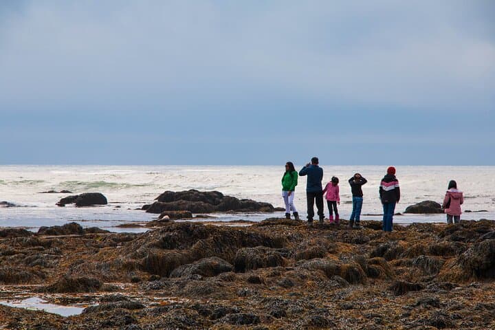 Snaefellsnes Peninsula Full Day Tour from Reykjavik