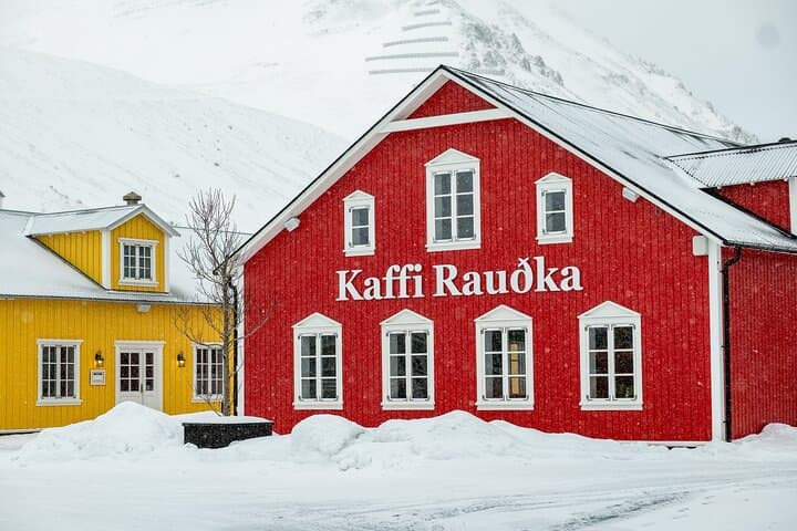 Arctic Coastline and Siglufjörður Tour