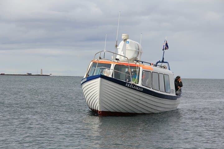 Iceland Super Saver: Puffin Cruise plus Whale-Watching Tour from Reykjavik